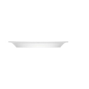 Teller flach schmale Fahne 24 cm Dimension Weiss Bauscher