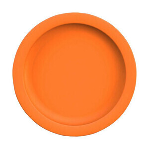 Teller flach Ø 24,1cm Colour orange Kunststoff PBT 