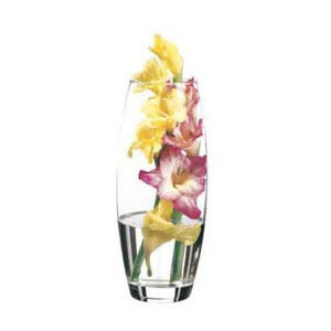 Vase Ellipse Glas 8x26cm 